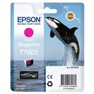 Epson T7603 Vivid Ink Cartridge - Magenta