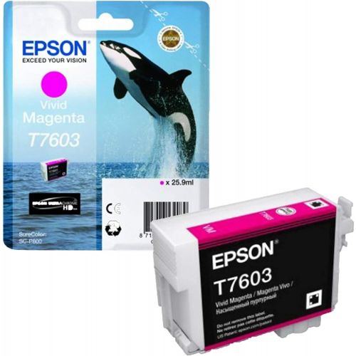 엡손 Epson T7603 Vivid Ink Cartridge - Magenta