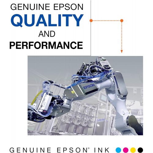엡손 Epson T200 DURABrite Ultra -Ink Standard Capacity Black Dual -Cartridge Pack (T200120-D2) for select Epson Expression and WorkForce Printers