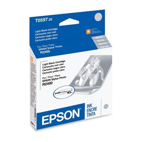 엡손 EPSON T059720 Light Black -Ink -Cartridge - Stylus Photo R2400