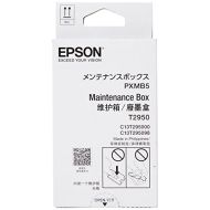 EPSON WF-100W Maint Box C13T295000