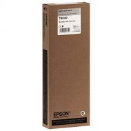 Epson T804900 UltraChrome HD Light Light Black Ink Cartridge (700 Millimeter)