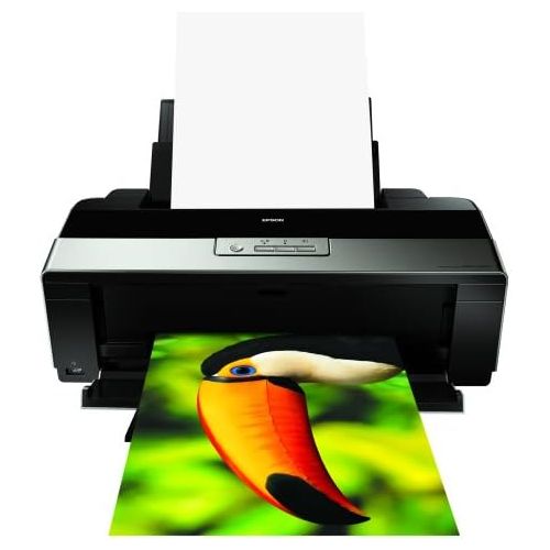 엡손 Epson Stylus Photo R1900 Large Format Photo Printer (C11C698201)