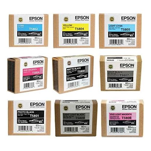 엡손 Epson Complete Ink Cartridge Set for Stylus Photo 3880 Printer IESK3880C