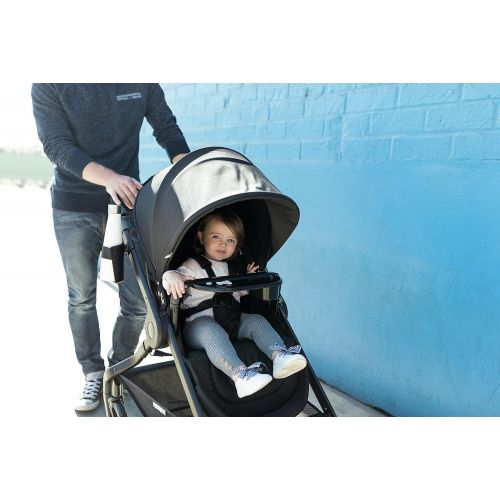 에르고베이비 Ergobaby Stroller, Travel System Ready, 180 Reversible with One-Hand Fold, Black