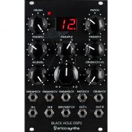 Erica Synths Black Hole DSP 2 Multi-Effects Eurorack Module (16 HP)