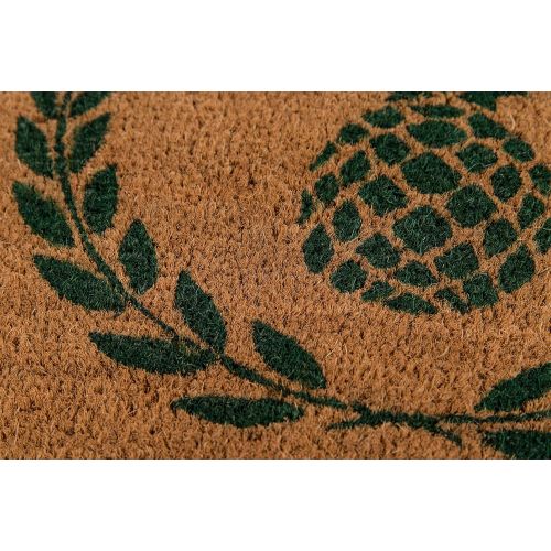  Erin Gate by Momeni Erin Gates Park Collection Pineapple Hand Woven Natural Coir Doormat 16 X 26, Green