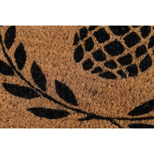  Erin Gate by Momeni Erin Gates Park Collection Pineapple Hand Woven Natural Coir Doormat 16 X 26, Black