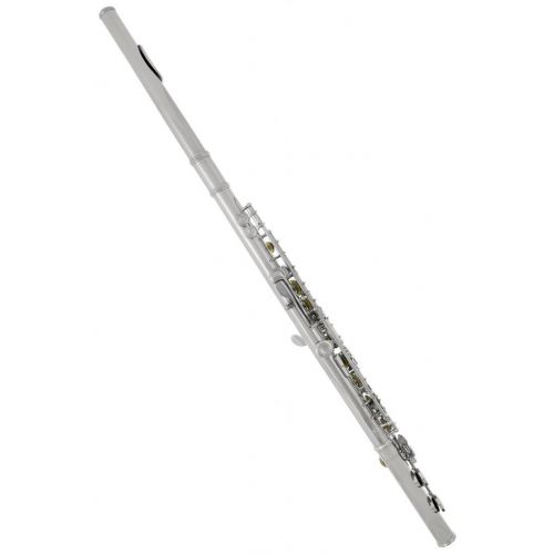  Lazarro Professional Silver Nickel Closed Hole C Flute for Band, Orchestra, with Case, Care Kit and Warranty, 120-NK