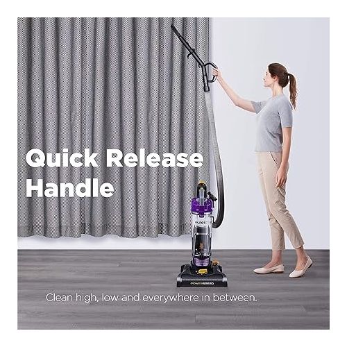  eureka NEU182B PowerSpeed Bagless Upright Vacuum Cleaner, Lite, Purple