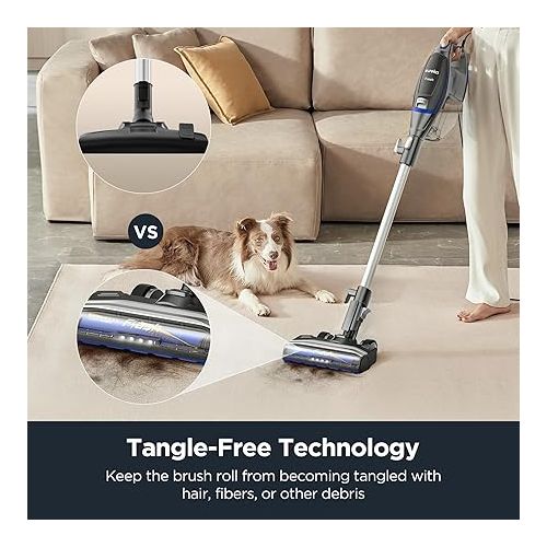  Eureka Corded Stick 2 in 1 Flash Lightweight Handheld Vacuum Cleaner with Lights for Home Carpet Tile and Hard Floor Pet Hair, NES520BL, Blue