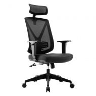 Eureka Ergonomic Mesh Office Chair，Adjustable High Back Swival Chair with Lumbar Support,Adjustable Headrest & PU Arm Rests, Black