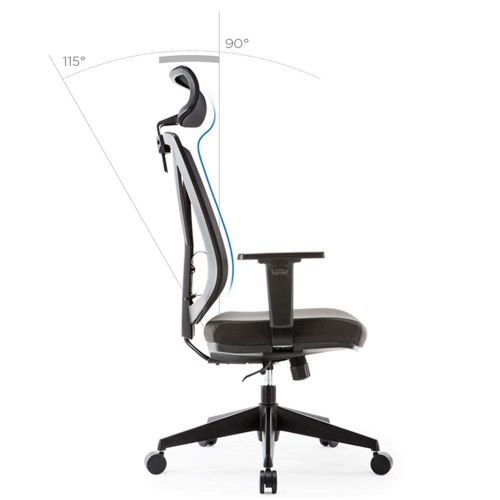  Eureka Ergonomic Mesh Office Chair，Adjustable High Back Swival Chair with Lumbar Support,Adjustable Headrest & PU Arm Rests, Black