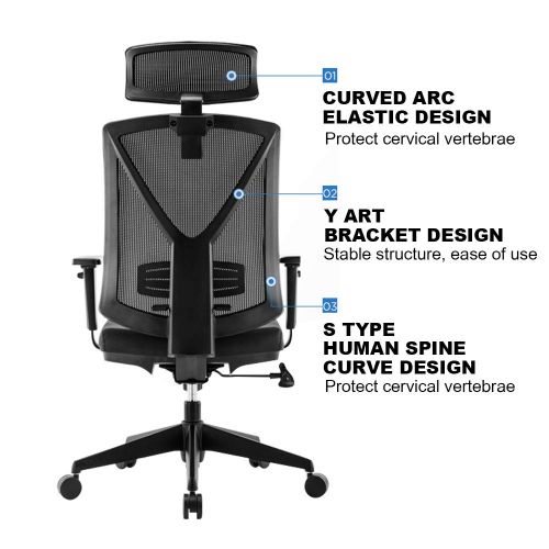  Eureka Ergonomic Mesh Office Chair，Adjustable High Back Swival Chair with Lumbar Support,Adjustable Headrest & PU Arm Rests, Black