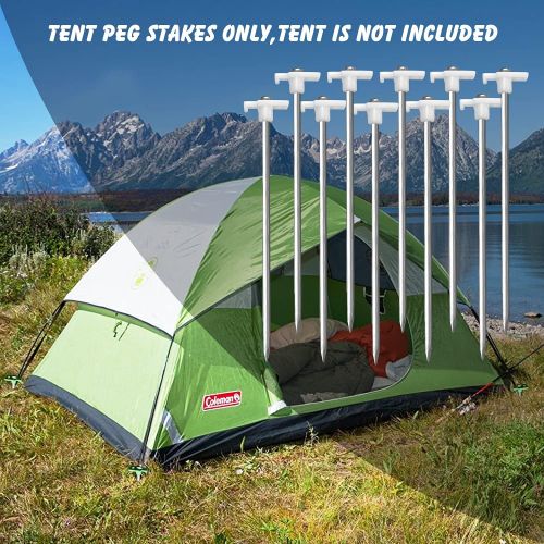  Eurmax USA Galvanized Non-Rust Camping Family Tent Pop Up Tent Stakes Ice Tools Heavy Duty 10pc-Pack, with 4x10ft Ropes & 1 Stopper