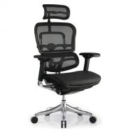 Eurotech Ergohuman Black Mesh Office Chair ME22ERGLT