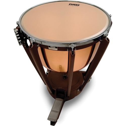  Evans Strata Series Timpani Drum Head, 31 inch