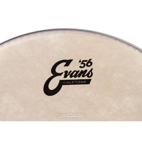  Evans Calftone Drumhead - 14 inch