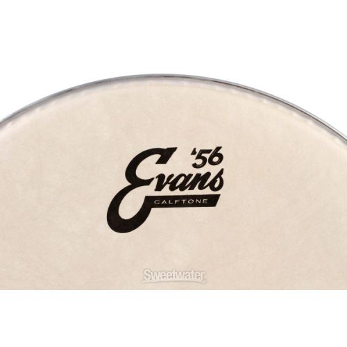  Evans Calftone Drumhead - 12 inch