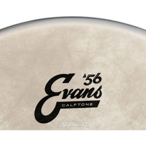  Evans Calftone Bass Drumhead - 16 inch