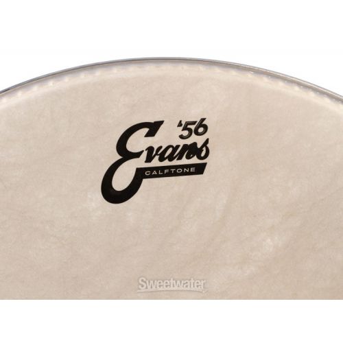  Evans Calftone Drumhead - 18 inch