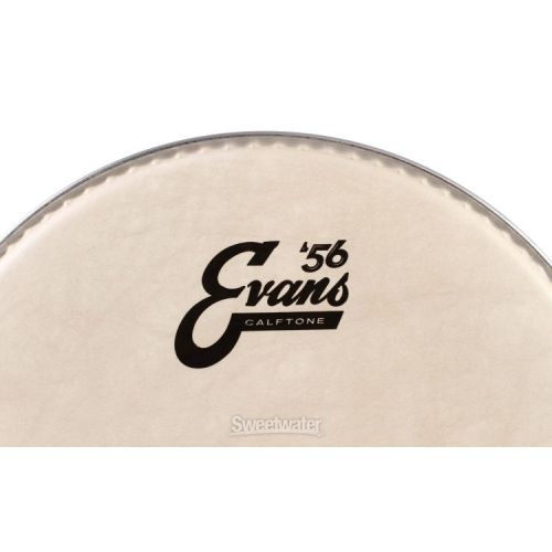  Evans Calftone Drumhead - 10 inch