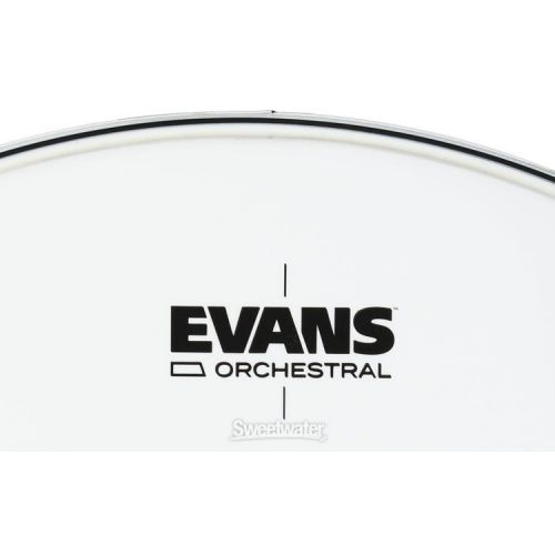  Evans Orchestral Timpani Drumhead - 23 inch