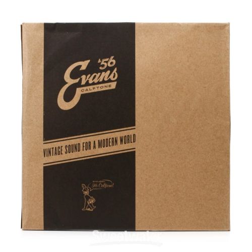  Evans Calftone Drumhead - 16 inch