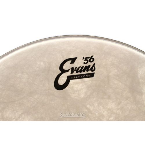  Evans Calftone Drumhead - 16 inch