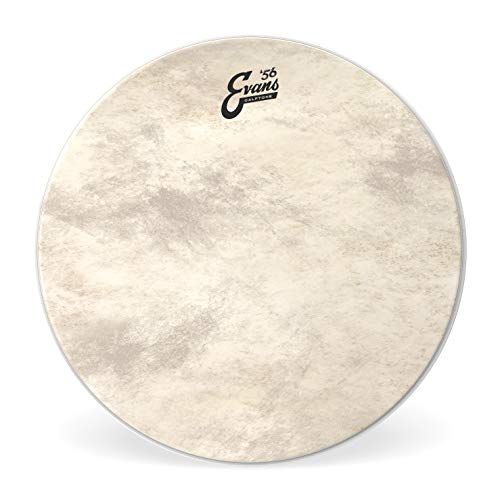  Evans Calftone Bass Drum Head, 20