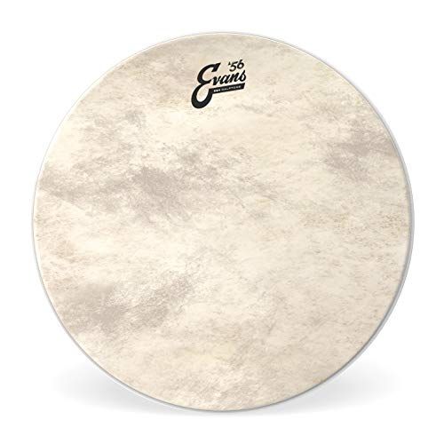  Evans EQ4 Calftone Bass Drum Head, 20