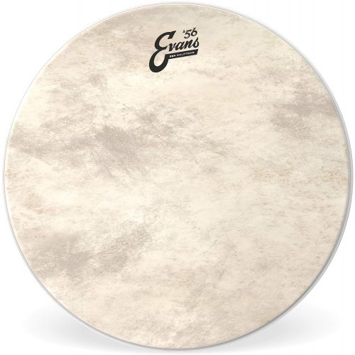  Evans EQ4 Calftone Bass Drum Head, 20