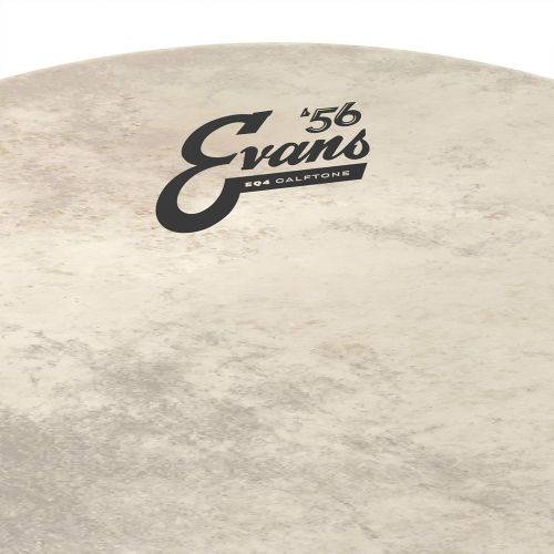  Evans EQ4 Calftone Bass Drum Head, 20