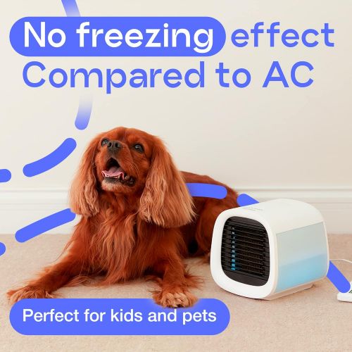  Evapolar evaCHILL Portable Conditioner Small Personal Evaporative Air Cooler and Humidifier Fan Mini AC, medium, Opaque White