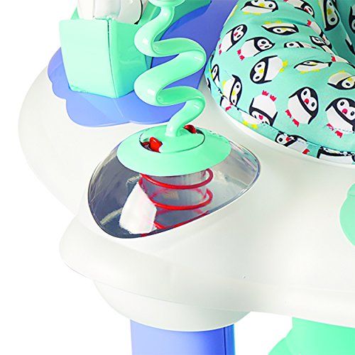 이븐플로 [아마존베스트]Evenflo Exersaucer Bounce and Learn, Polar Playground