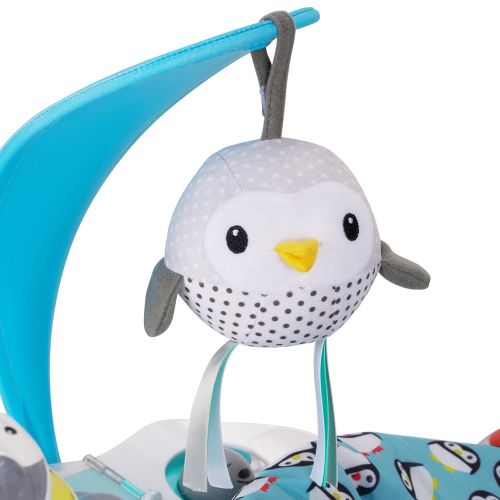 이븐플로 [아마존베스트]Evenflo Exersaucer Bounce and Learn, Polar Playground