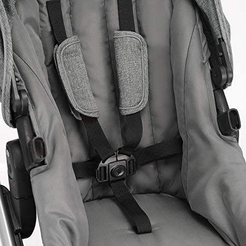 이븐플로 Evenflo Pivot Xpand Modular Stroller Second Seat, Compatible with Evenflo Pivot Xpand Modular Travel System & Modular Stroller, Holds Up to 55-lbs, Multiple Configurations, Percher