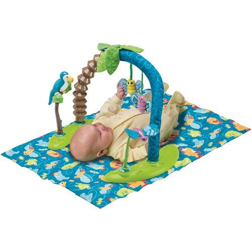 이븐플로 Evenflo ExerSaucer Triple Fun Saucer in Life in the Amazon