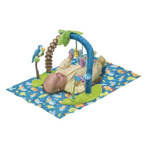 이븐플로 Evenflo Exersaucer Triple Fun Active Learning Center, Life in the Amazon