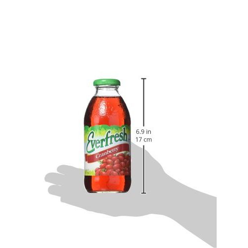  Everfresh Fruit Drink, Kiwi Strawberry, 16 Ounce