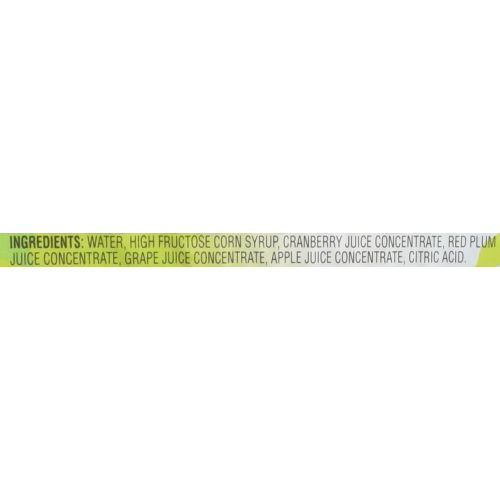  Everfresh Fruit Drink, Kiwi Strawberry, 16 Ounce