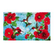 Evergreen Garden 41EM2154 Hummingbird Floor Embossed Door Mat, Multicolor