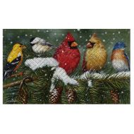 Evergreen Garden 41EM2127 Backyard Birds Floor Embossed Door Mat, Multicolor