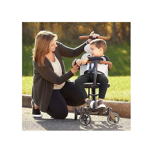  Evolur Cruise Rider Stroller, Lightweight Stroller with Compact Fold, Easy to Carry Travel Stroller, Koala Gray