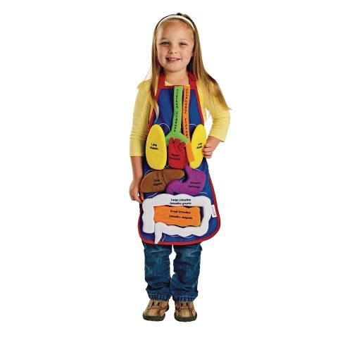  Excellerations 14.5 x 22 inches, Healthy Body Organ Apron, with 9 Pieces, Educational Toy, Preschool, Health Education, Human Body, Kids Toys