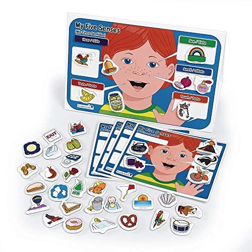  Excellerations SENSEMAG My 5 Senses Magnetic Activity Set, 12x 18 inches, Pack of 55, Educational STEM Toy, Preschool, Kids Toys