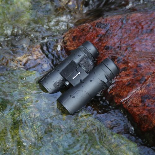  Eyeskey 8x42 Binoculars for Adults with Durable Magnisum Alloy Housing, HD BaK-4, Large Eyepiece, Ideal Choices for Wildlife Viewing, Outdoor Travelling, Hiking