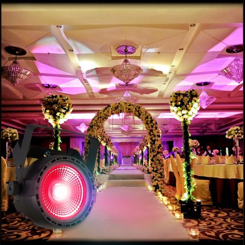  Stage Par Light, Eyourlife 2 Pack LED Par Lights with Super Bright 30W COB RGB Tricolors Par Can or Stage Lighting Church Wedding DJ Lights Party