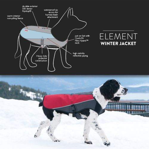  EzyDog Element Best Dog Jacket - Premium Wind and Waterproof Reflective Dog Coat for Safety and Protection - Provides Leash Access to Harness or Collar (Size, Color)