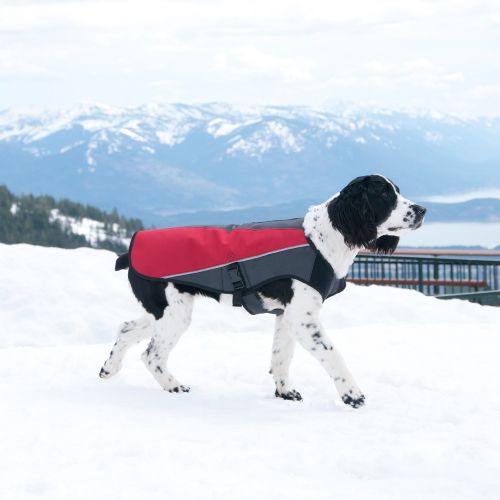  EzyDog Element Best Dog Jacket - Premium Wind and Waterproof Reflective Dog Coat for Safety and Protection - Provides Leash Access to Harness or Collar (Size, Color)